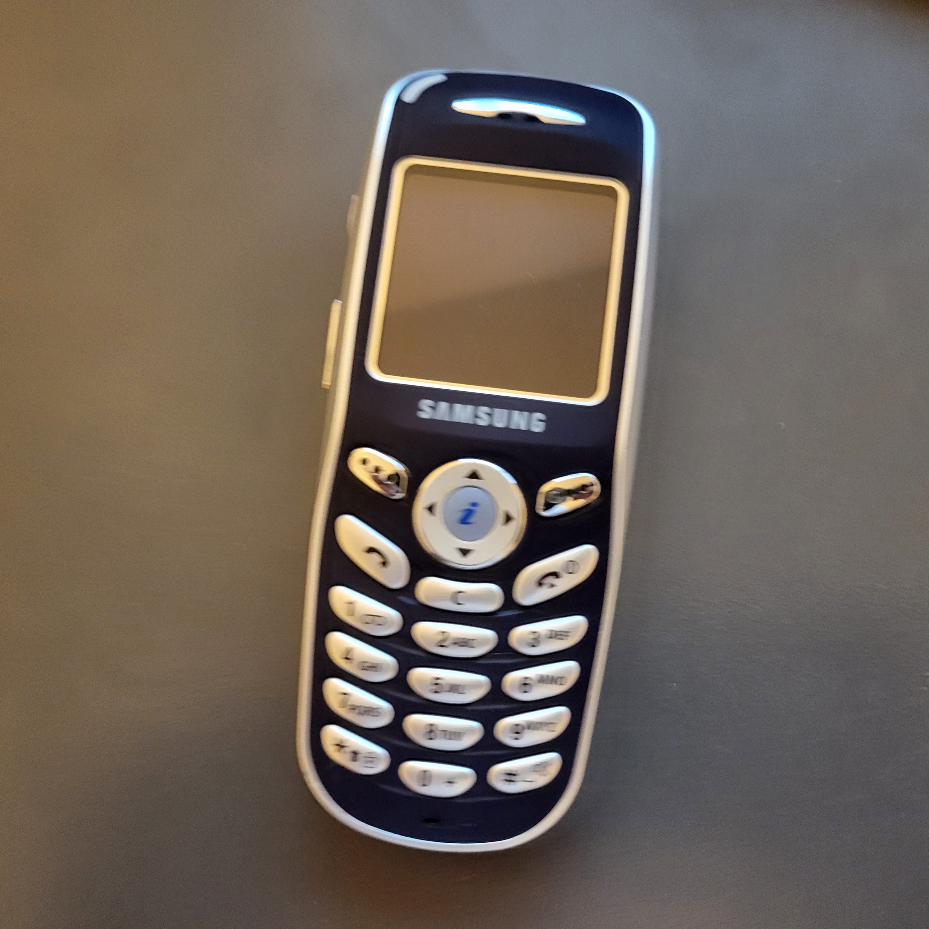 Samsung SGH-X100